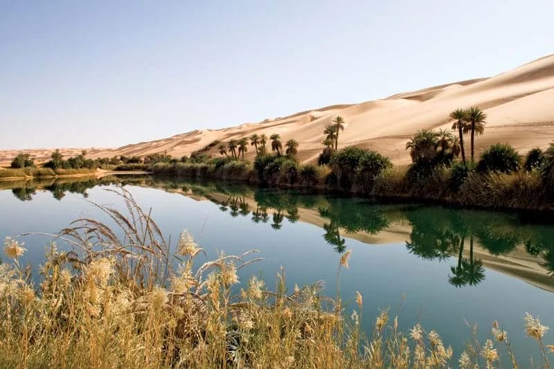 المغامرات في العالم العربي